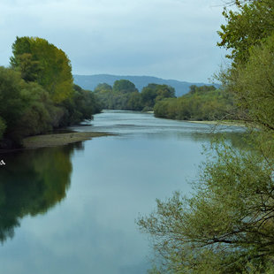 River near Messolonghi Lagoon, Greece, October 2017. www.ornithologiki.gr