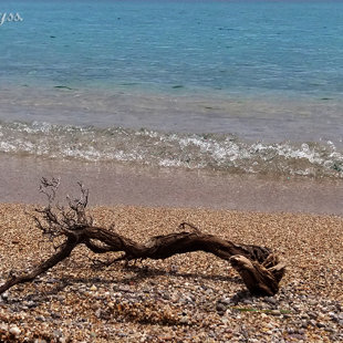 at the beach before the summer storm! Creative Social Media Sitter