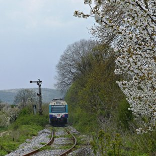 the OSE train to Florina passing by Agras, Pella, Macedonia Greece