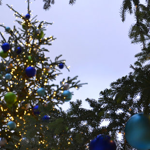 Christmas trees decorating the SNF Cultural Center, Athens, Greece