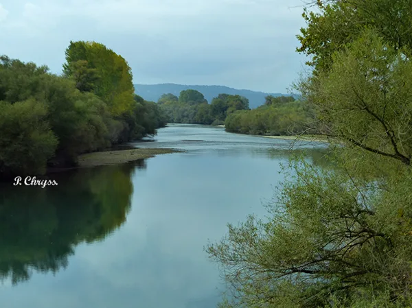 River near Messolonghi Lagoon, Greece, October 2017. www.ornithologiki.gr