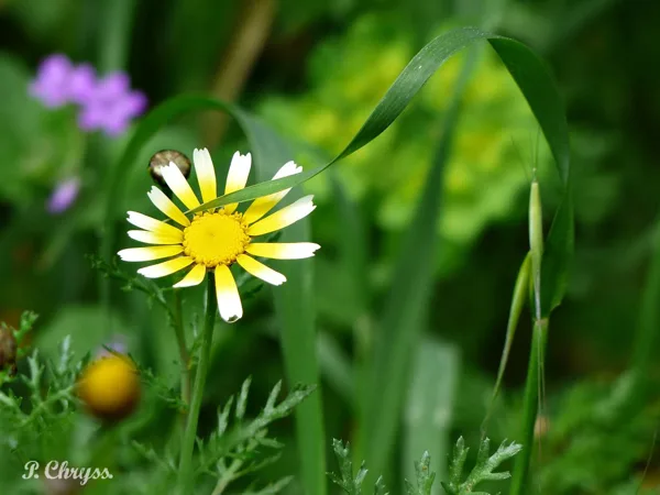 April's caress! spring in Athens, Greece