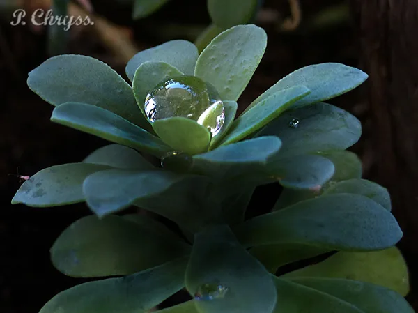 everyday miracles are all around us! discover them!