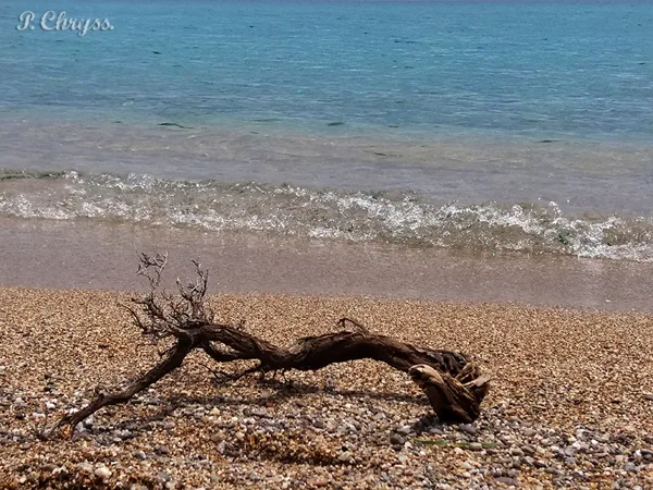 at the beach before the summer storm! Creative Social Media Sitter