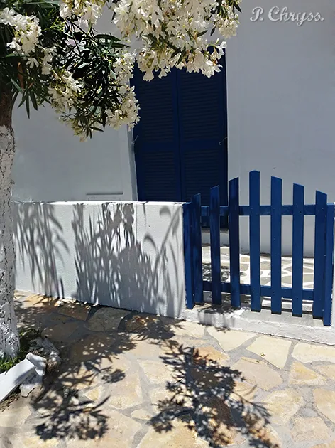 Oleander on Antiparos island. Summer in Greece is white and blue!