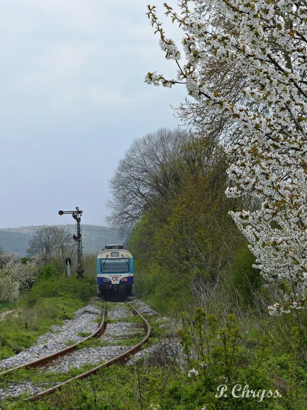 the OSE train to Florina passing by Agras, Pella, Macedonia Greece