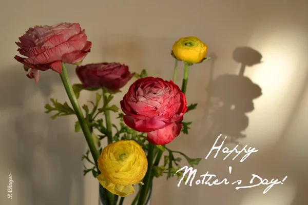 ‪"my ‪‎mother‬ is that sweet flower of love!" ‎Happy‬ Mother's ‪‎day‬! Ευχαριστώ Μαμά!