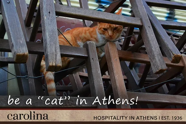 call to action for Carolina Hotel Athens Greece