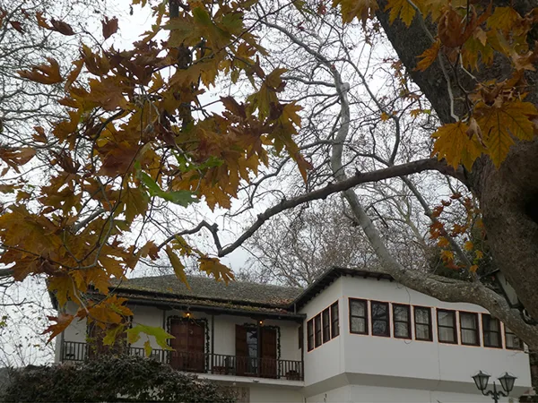 traditional architecture in Pilion, Greece