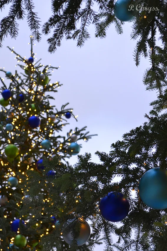 Christmas trees decorating the SNF Cultural Center, Athens, Greece